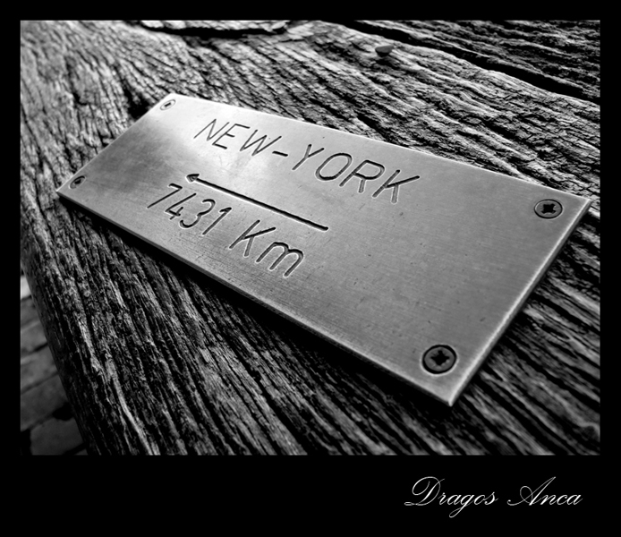 New_York_by_Screech87 copy.jpg