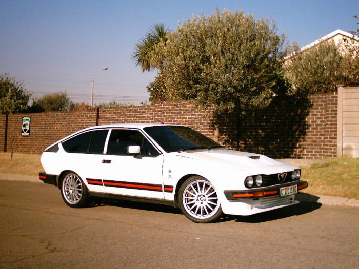 Alfetta alba.jpg