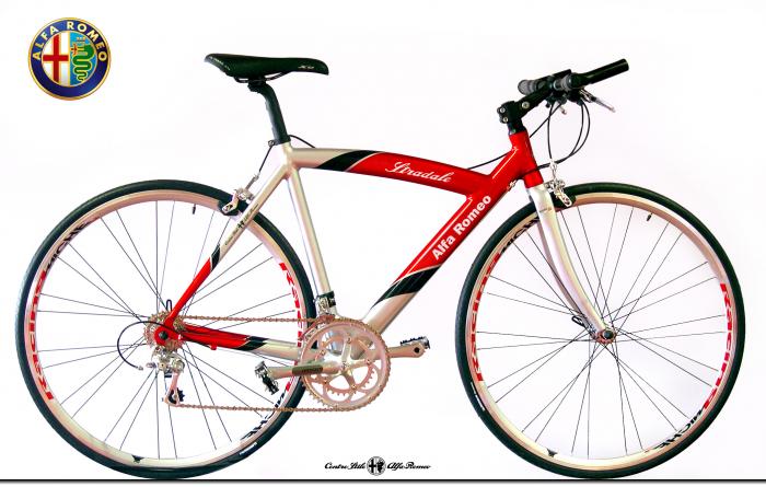 bicicleta AR.jpg