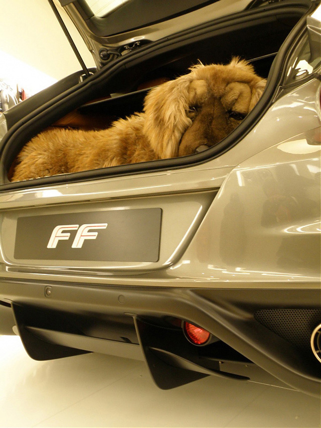 Ferrari FF cu caine.jpg