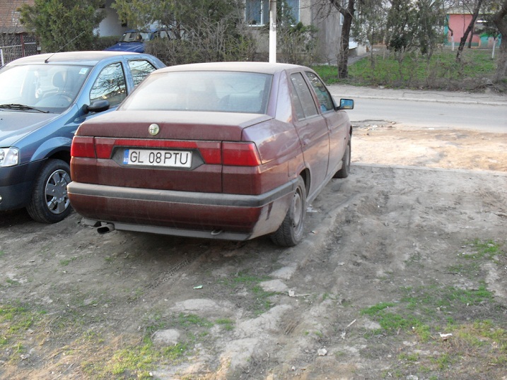 alfa155.jpg