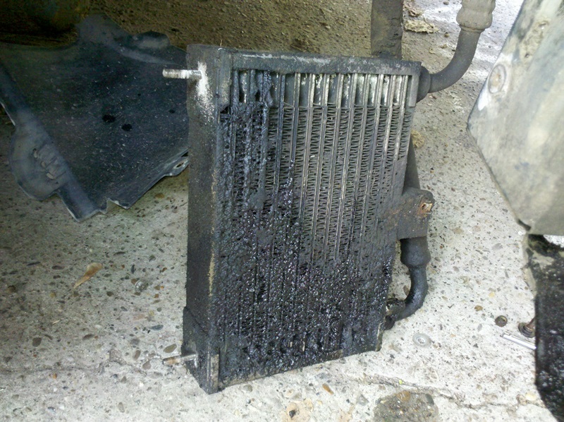 radiator ulei (3).jpg