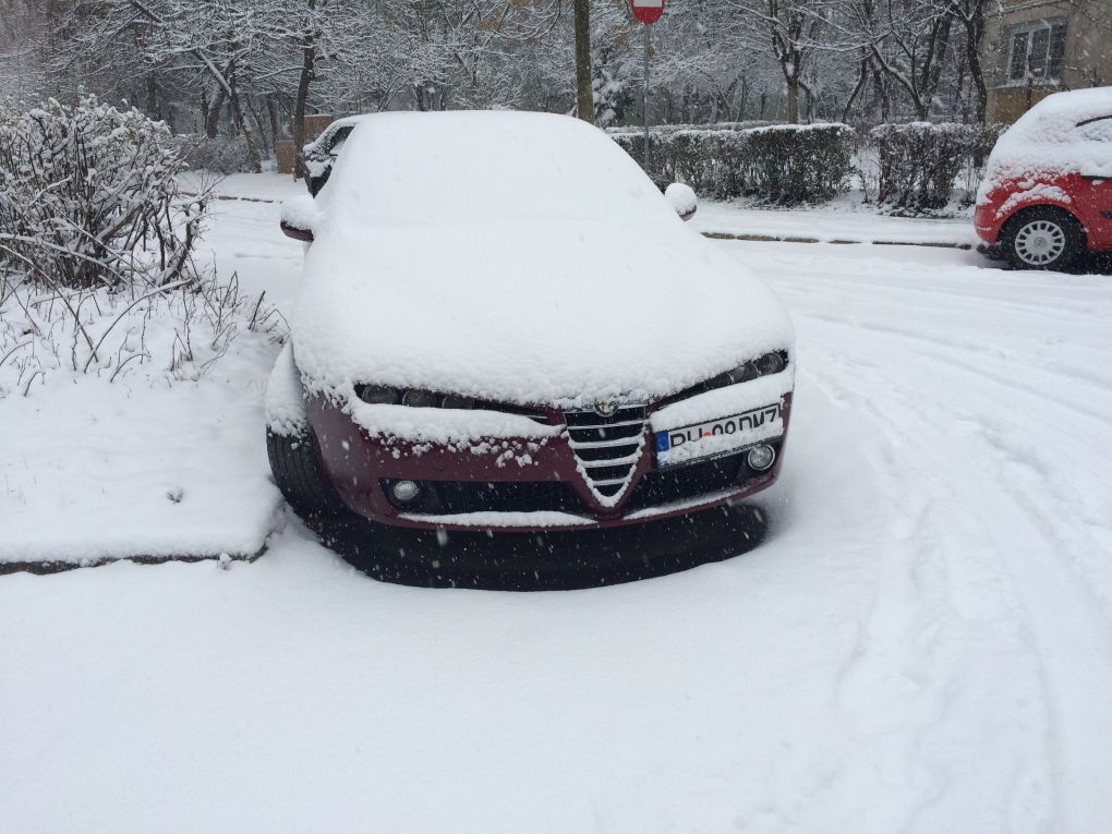 Alfa Snow.jpg