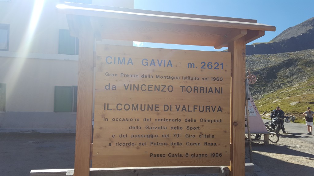 gavia.jpg