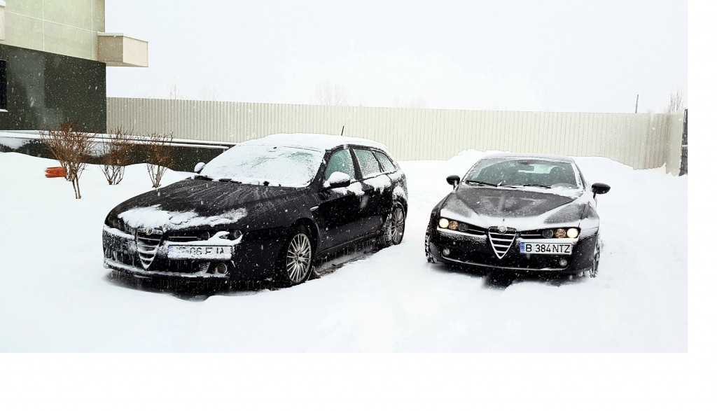 Alfa Snow.jpg