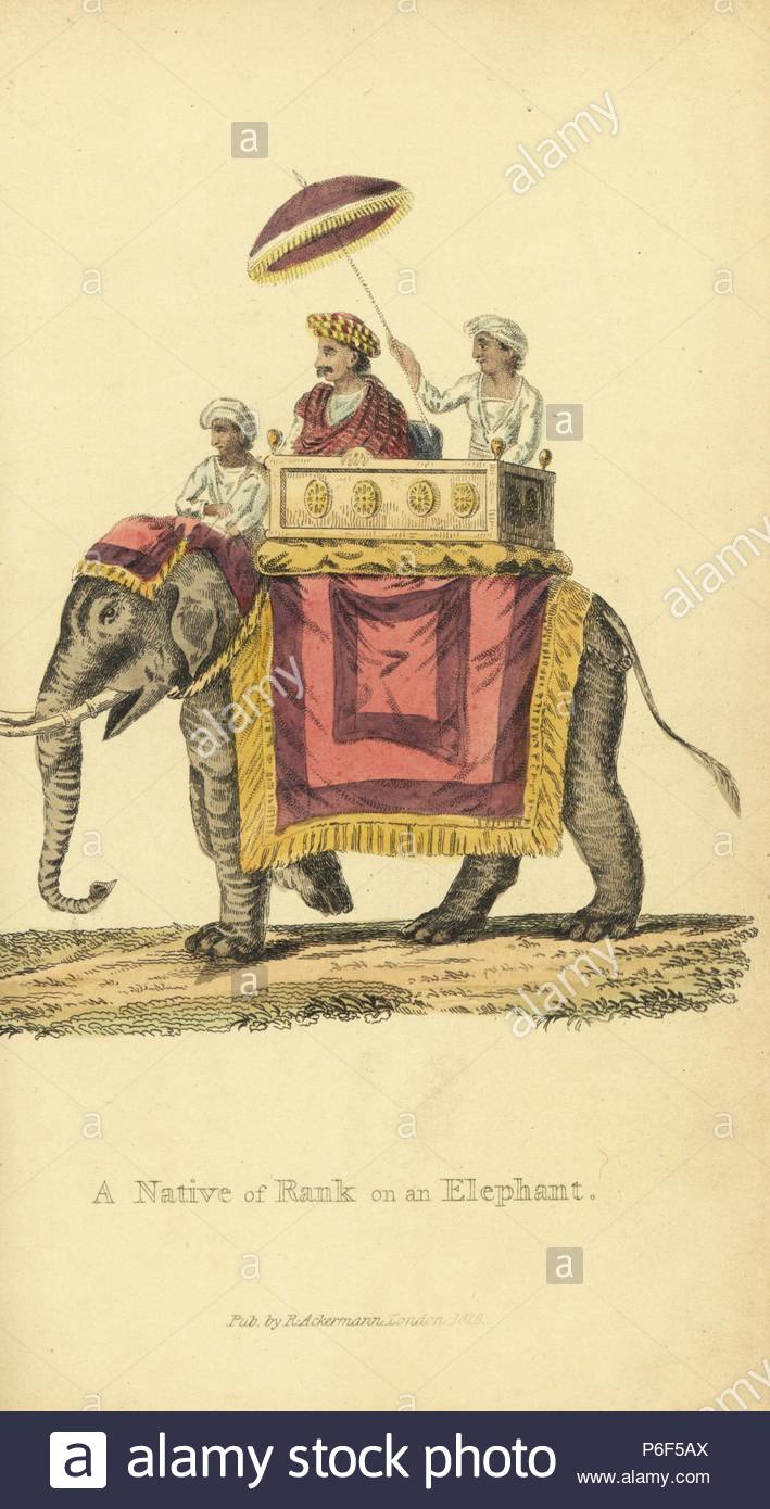 indian-nobleman-on-a-palanquin-on-an-elephant-in-embroidered-silk-drapery-handcoloured-copperplate-engraving-by-an-unknown-artist-from-asiatic-costumes-ackermann-london-1828-P6F5AX.jpg