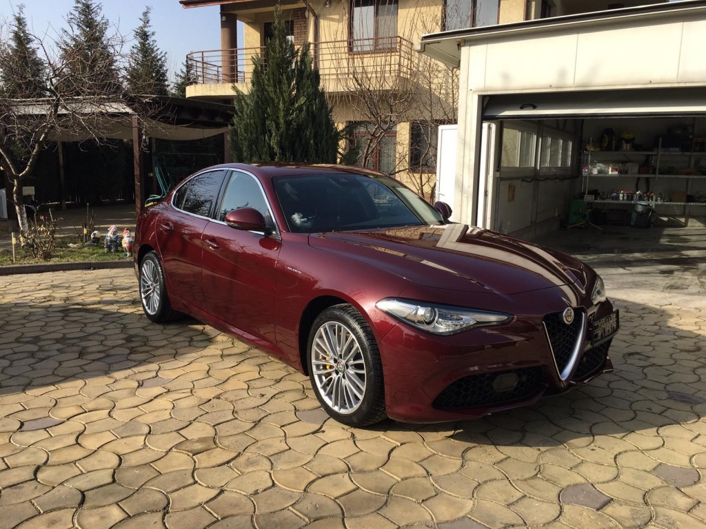 Alfa revitalizata.jpg