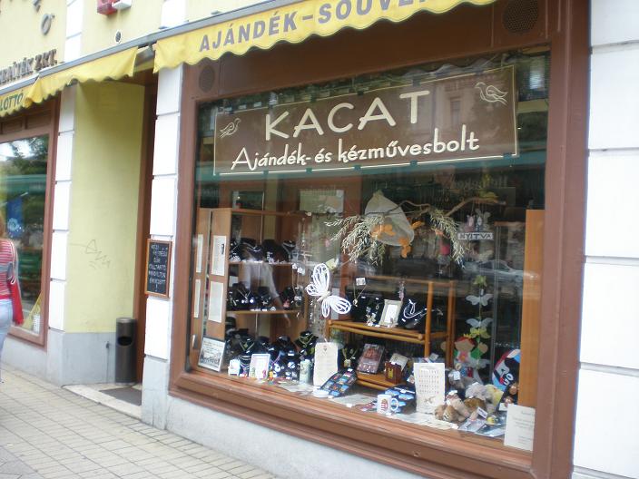 kacat.JPG