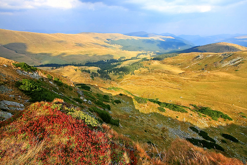 transalpina 1.jpg