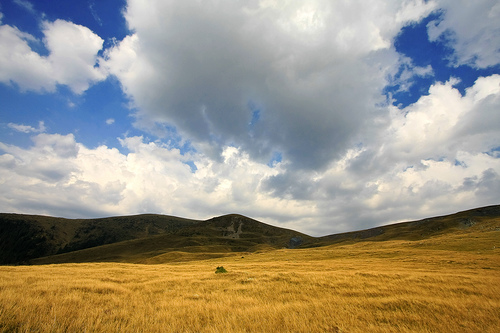 transalpina 2.jpg