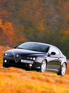 Alfa_Romeo27.jpg