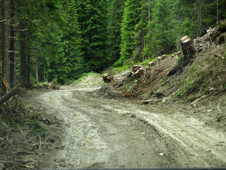 transalpina dupa obirsia lotrului.JPG