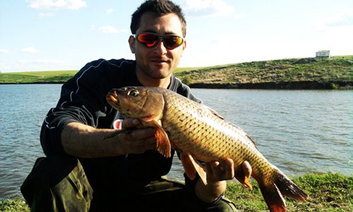 carp.corata.jpg