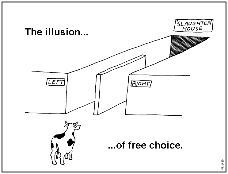 free-choice.jpg