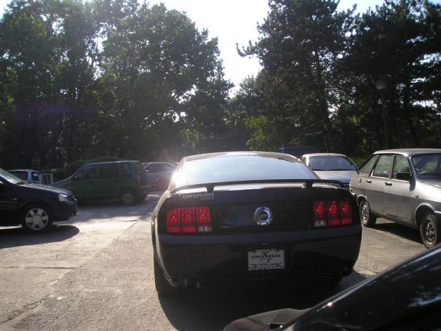 Mustang rear.jpg