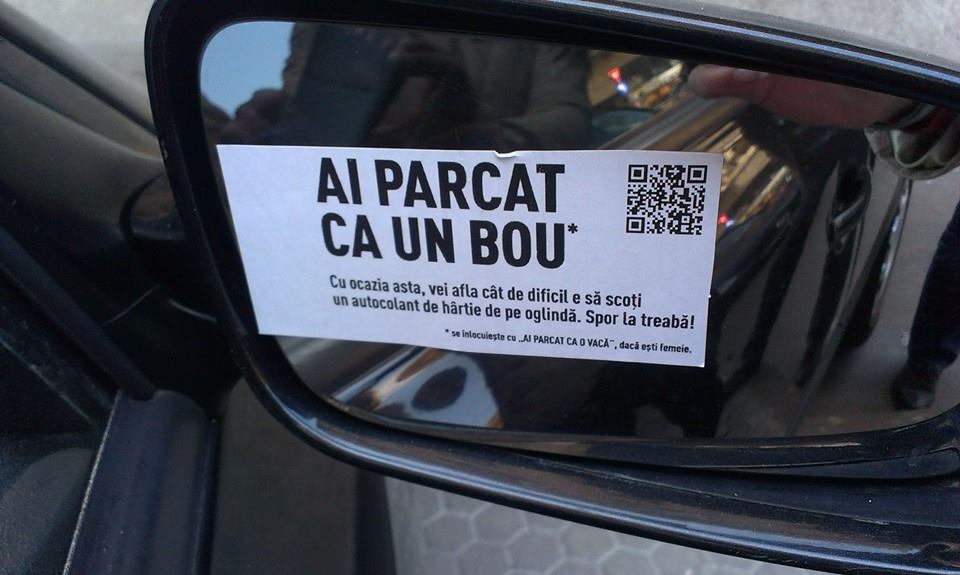 ai-parcat-ca-un-bou.jpg