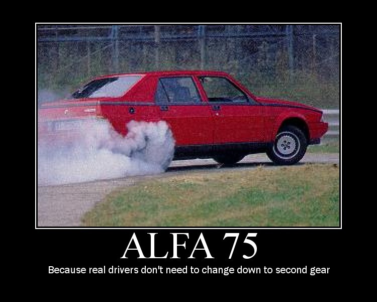 ALFA 75.jpg