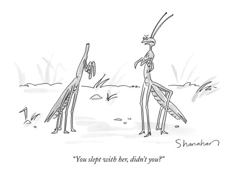 danny-shanahan-you-slept-with-her-didn-t-you-new-yorker-cartoon.jpg