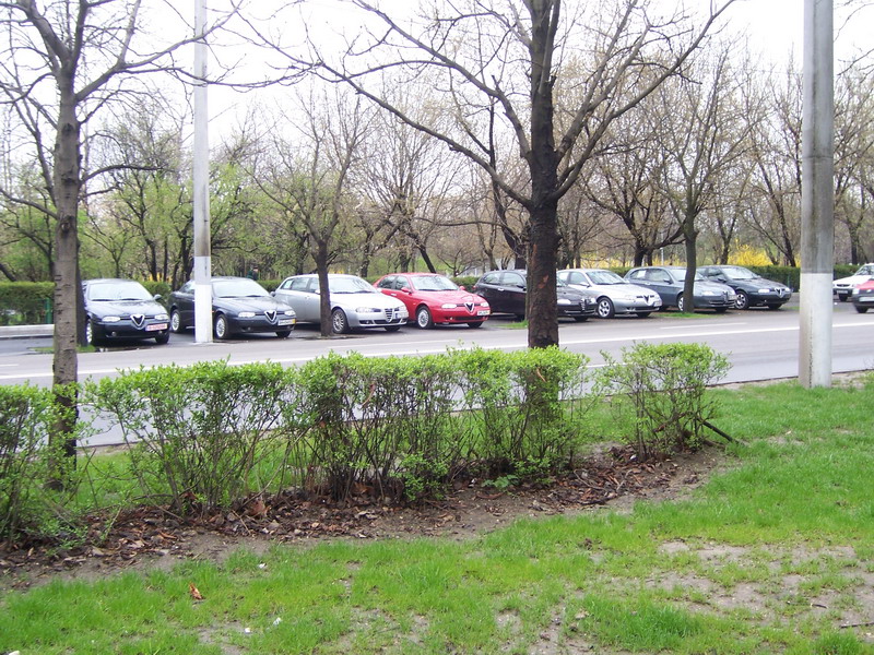 parc cuaj.jpg